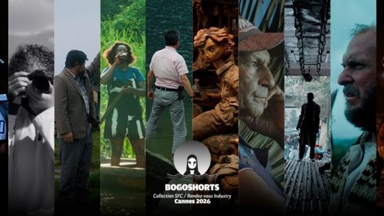 Bogoshorts