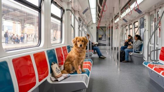 Mascotas Metro de Bogotá