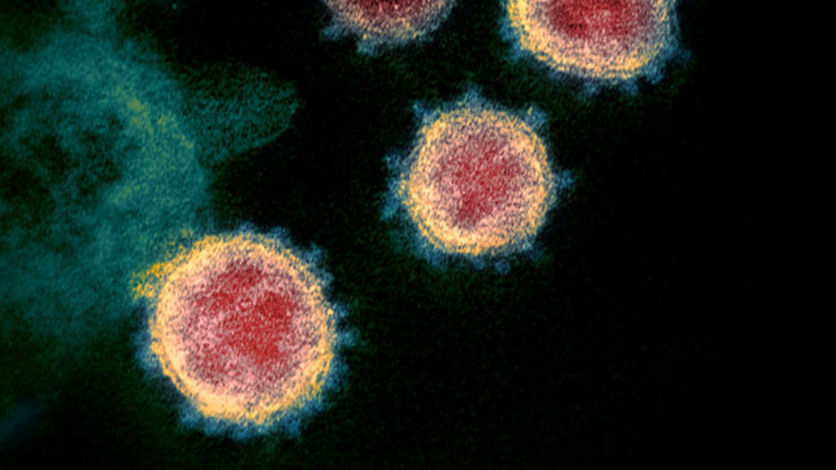 como se transmite el coronavirus