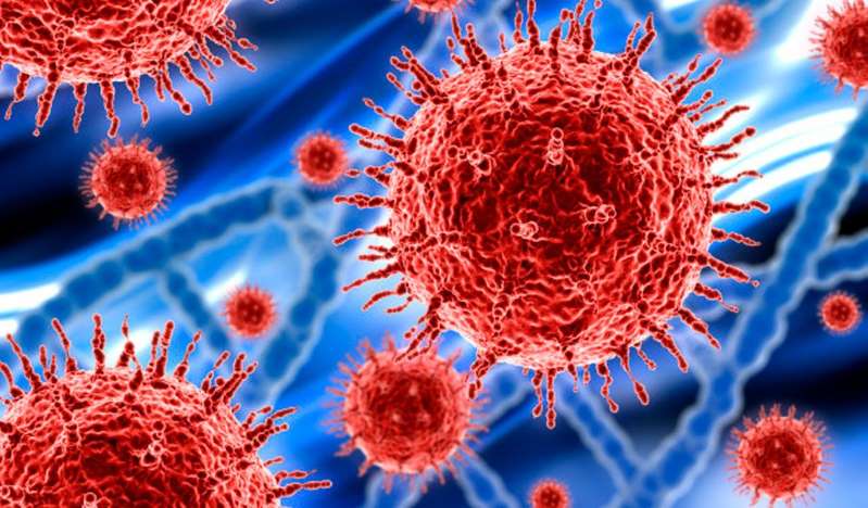 coronavirus perú coronavirus perú