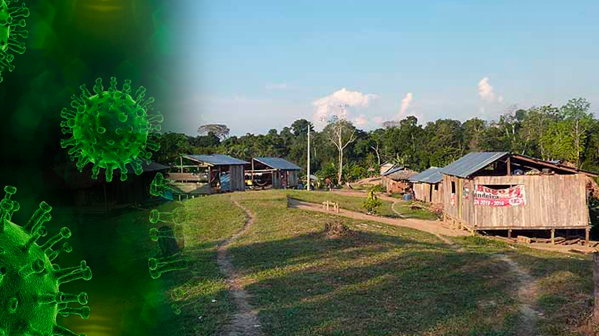 Amazonas coronavirus Amazonas coronavirus