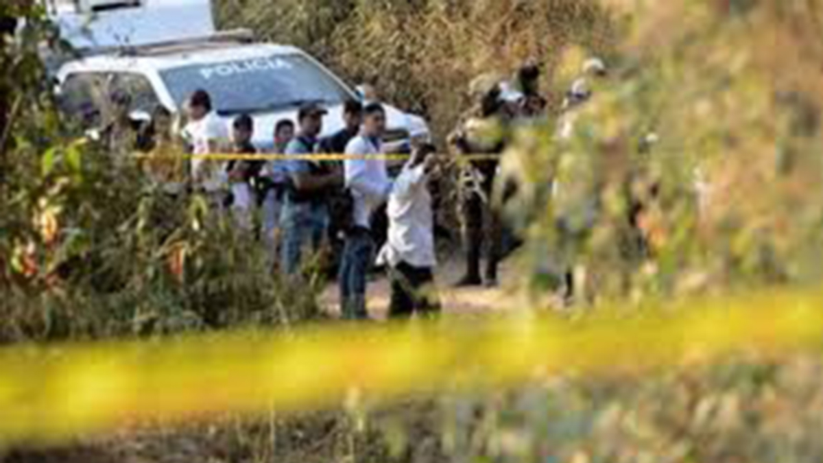 Masacre Cauca Masacre Cauca