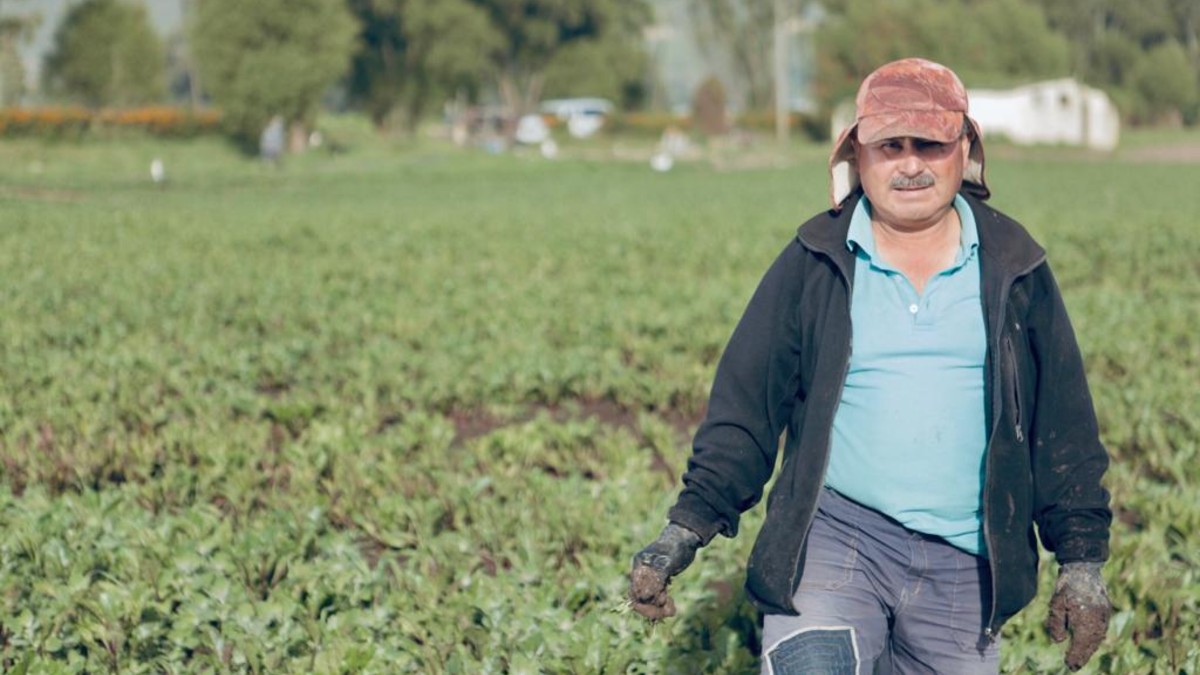 Campesino Campesino