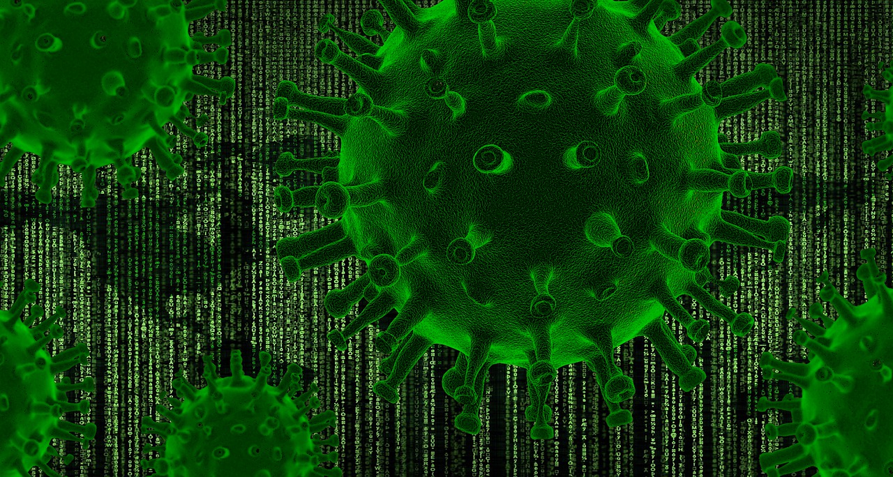 coronavirus coronavirus
