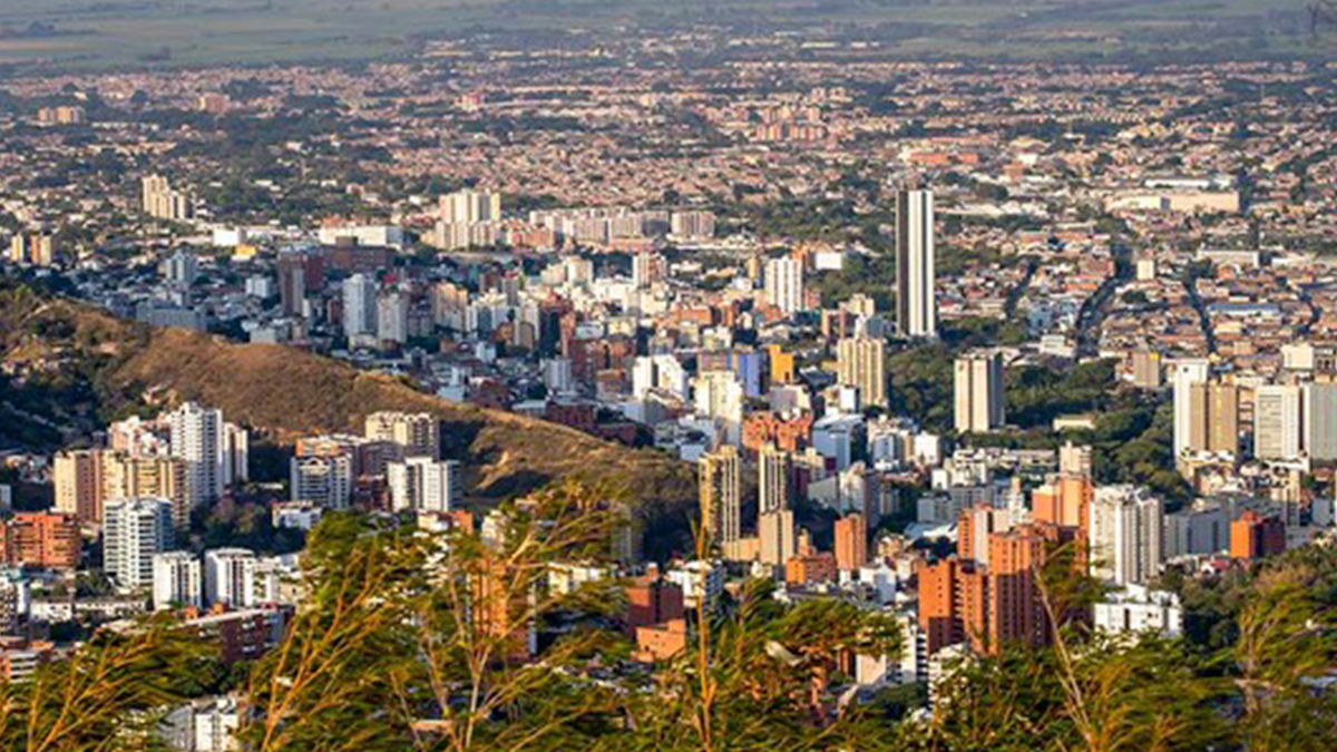 Pico y cédula Cali Pico y cédula Cali