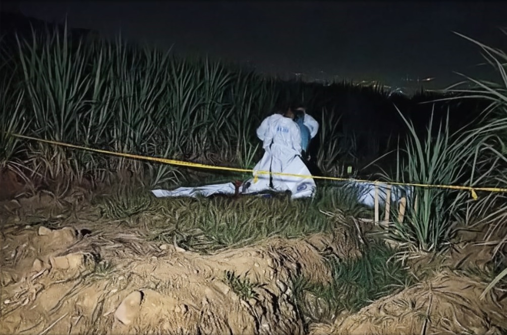 Detalles de la masacre en Llano Verde, Cali Detalles de la masacre en Llano Verde, Cali