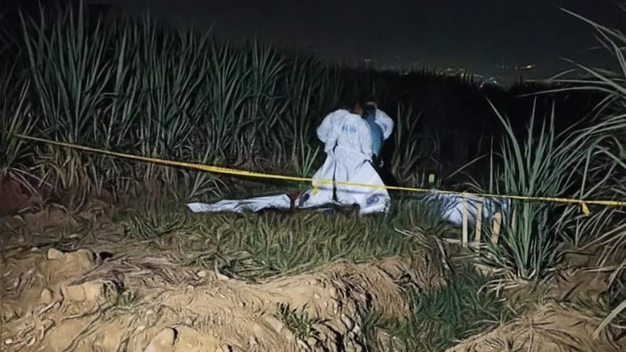 VIDEO: Angustioso relato del asesinato de los cinco menores en Cali VIDEO: Angustioso relato del asesinato de los cinco menores en Cali