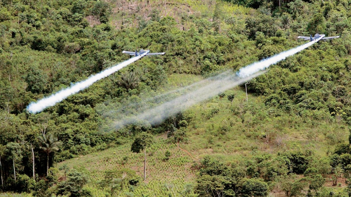 ONG rechaza política antidrogas presentada por el Gobierno ONG rechaza política antidrogas presentada por el Gobierno