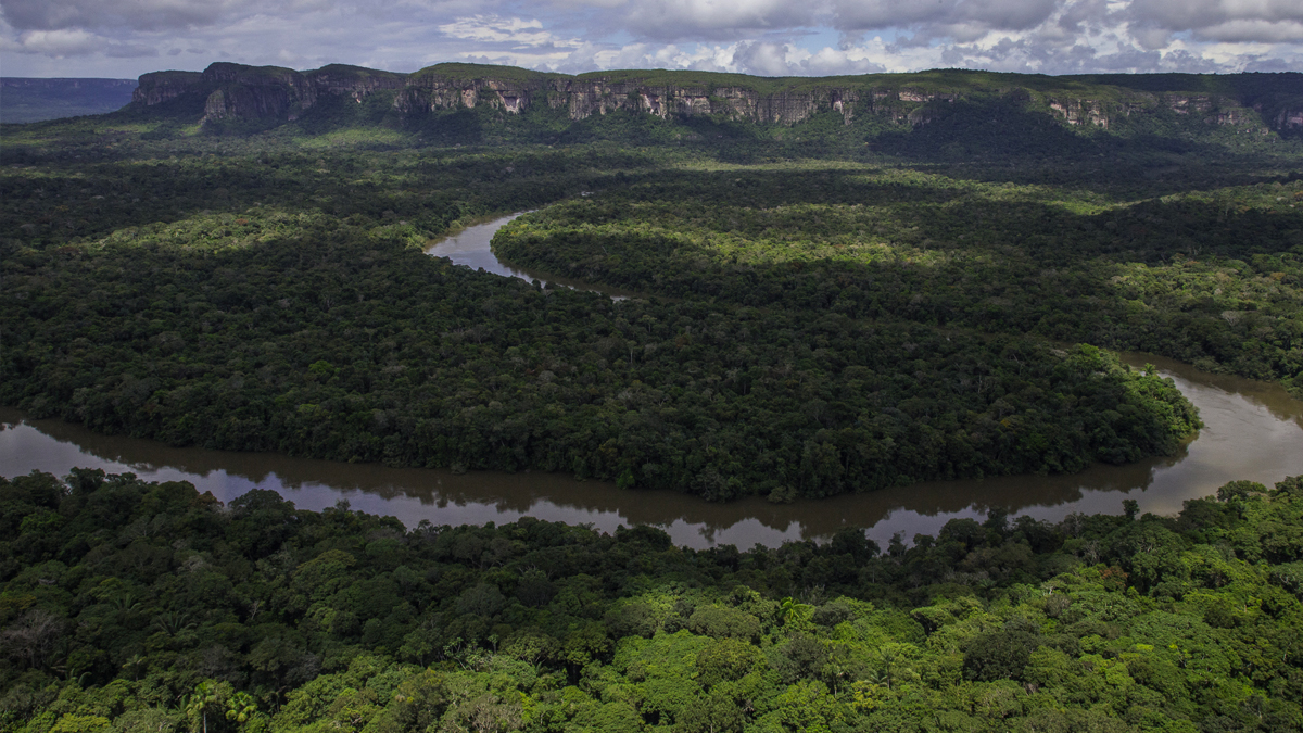El Parque Nacional Serranía de Chiribiquete perdió más de mil hectáreas por deforestación entre octubre de 2020 y febrero de 2021. Serranía de Chiribiquete