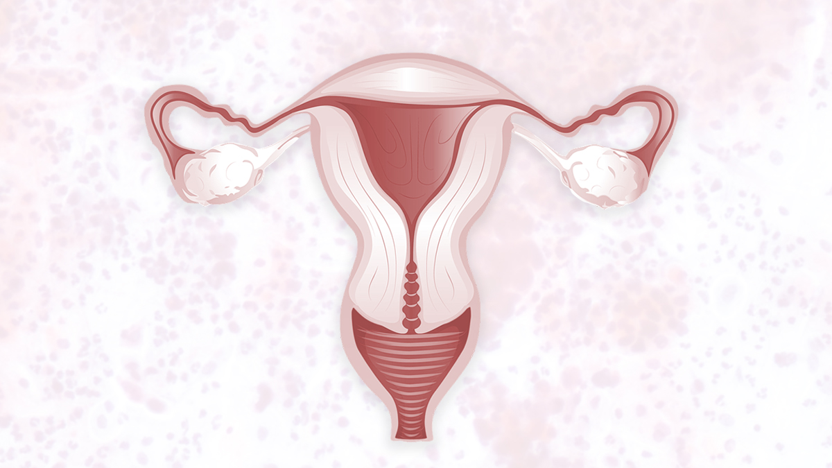 cáncer de cuello uterino cáncer de cuello uterino