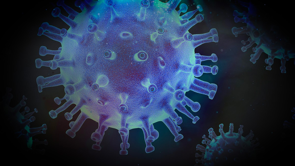 Virus África Virus África