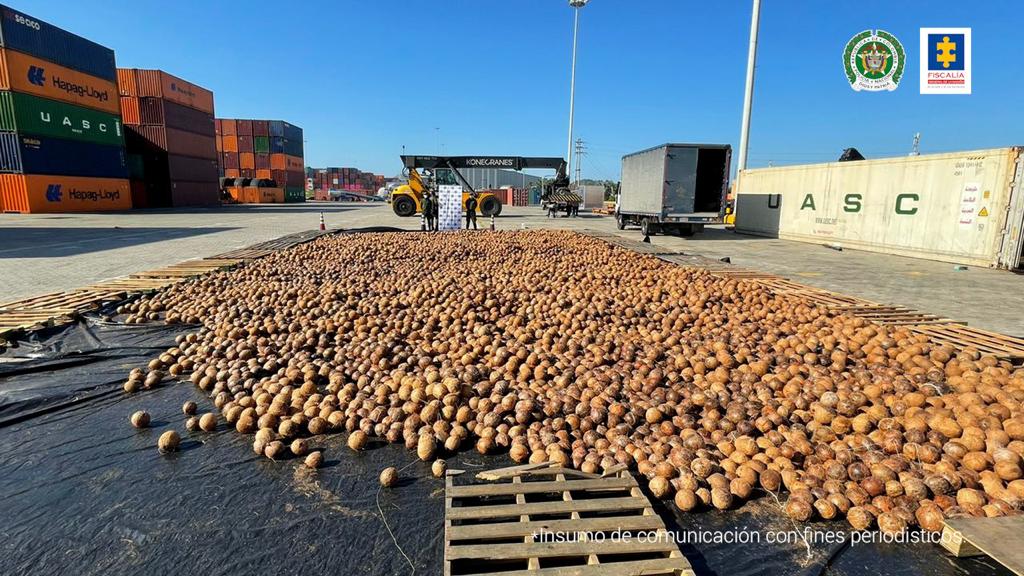 narcococo cocos cocaina liquida narcococo cocos cocaina liquida