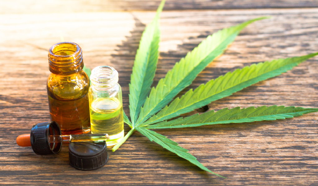 cannabis veterinario cannabis veterinario