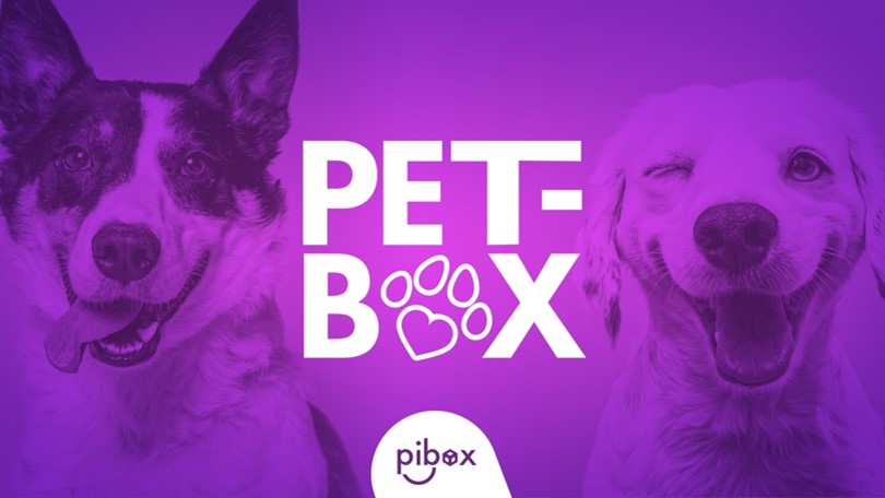 Jornada de adopción en Colombia para 400 perros y gatos Jornada de adopción en Colombia para 400 perros y gatos