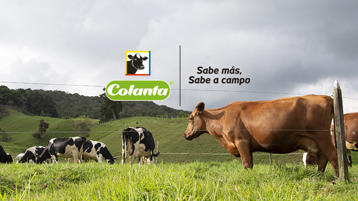 Quién está detrás del éxito de Colanta? | KienyKe