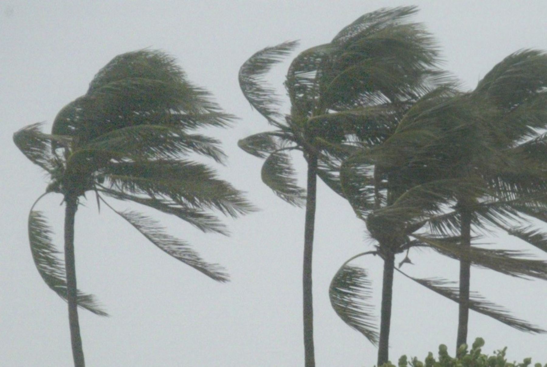 ciclon-tropical-afecta-archipielago-de-san-andres