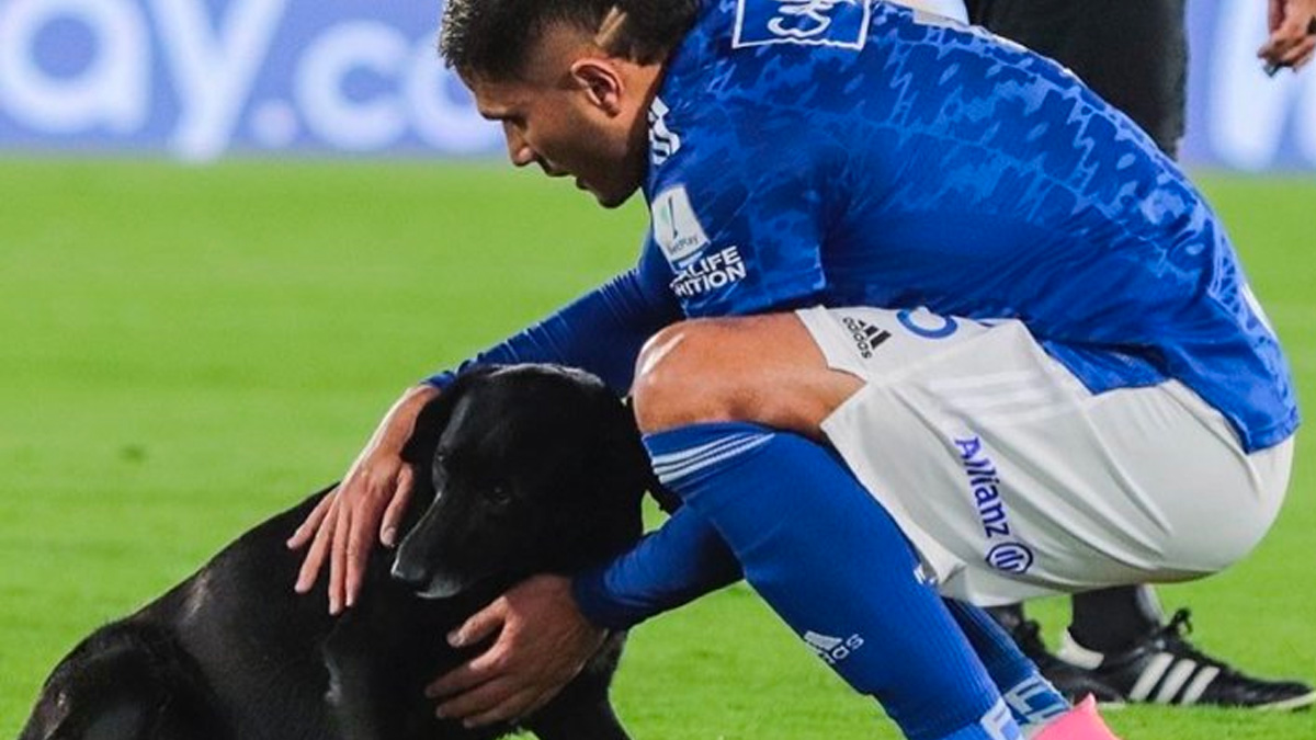 Millonarios Millonarios
