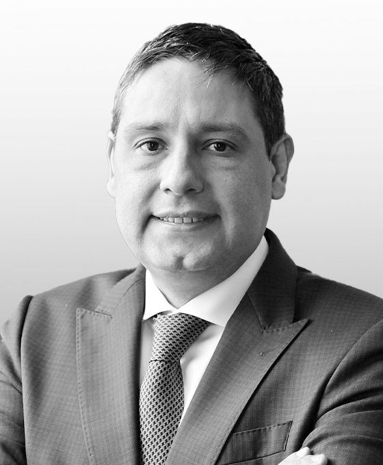 Mauricio Lizcano