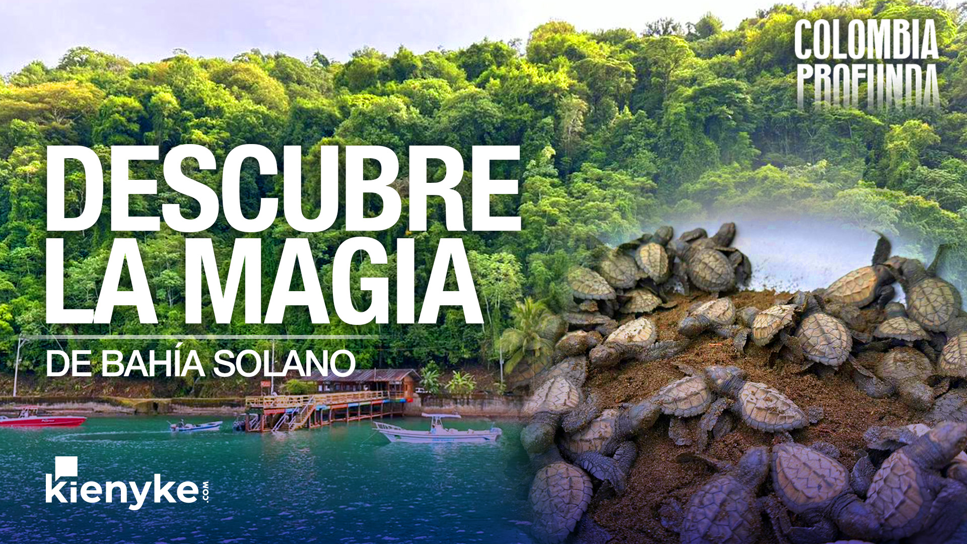 Bahía solano bahía solano