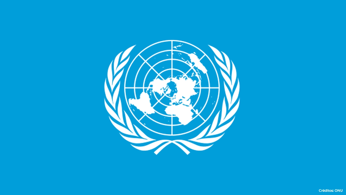 Agencias de ONU en Colombia: "Si informe sobre cadáveres tiene errores, se debe rectificar" Agencias de ONU en Colombia: "Si informe sobre cadáveres tiene errores, se debe rectificar"