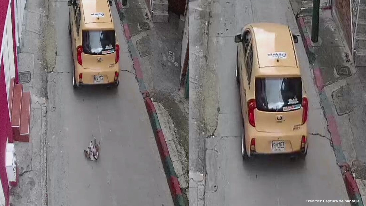 taxi-atropella-perrito taxi-atropella-perrito