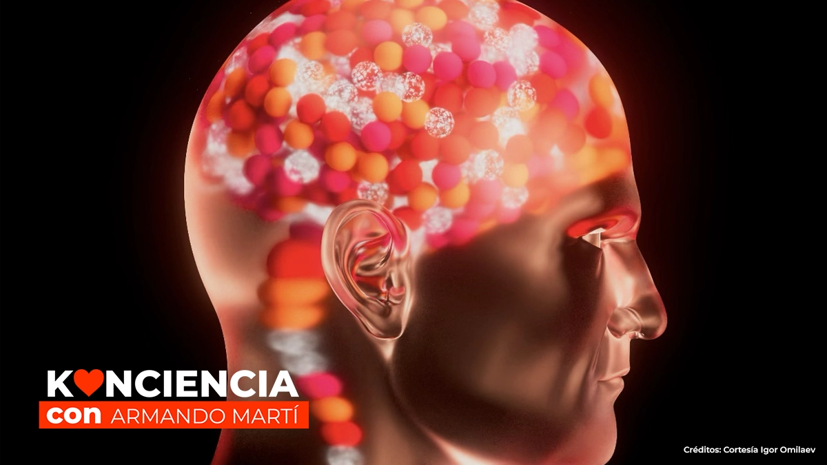 Konciencia