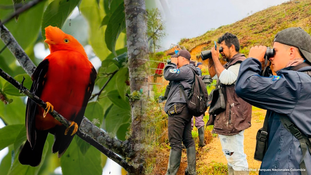 Colombia Colombia