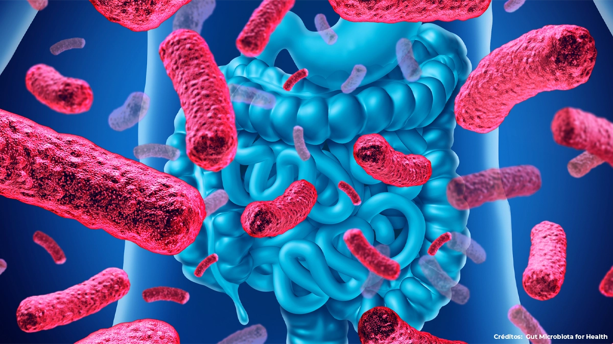 Probióticos salud intestinal Probióticos
