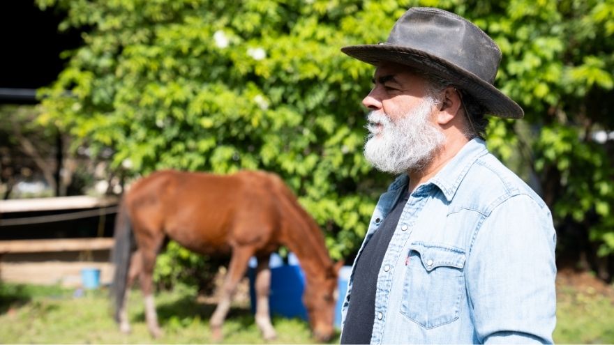 Conozca cómo el coaching con caballos se ha convertido en una herramienta para liberar emociones.