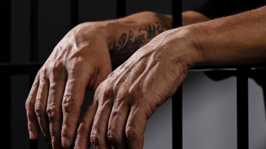 Imagen de referencia de captura.