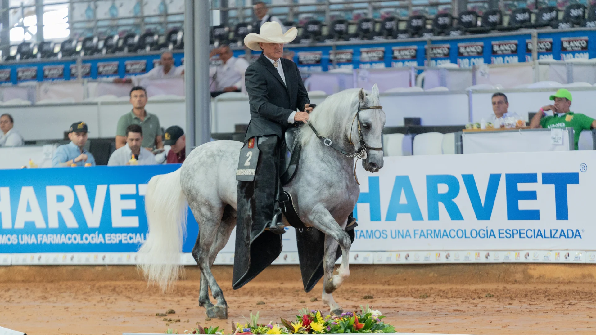 Mundial de Caballos de Paso 2025 