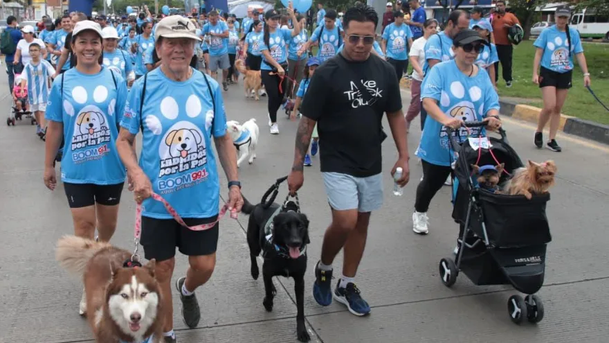caminata-perritos-cali