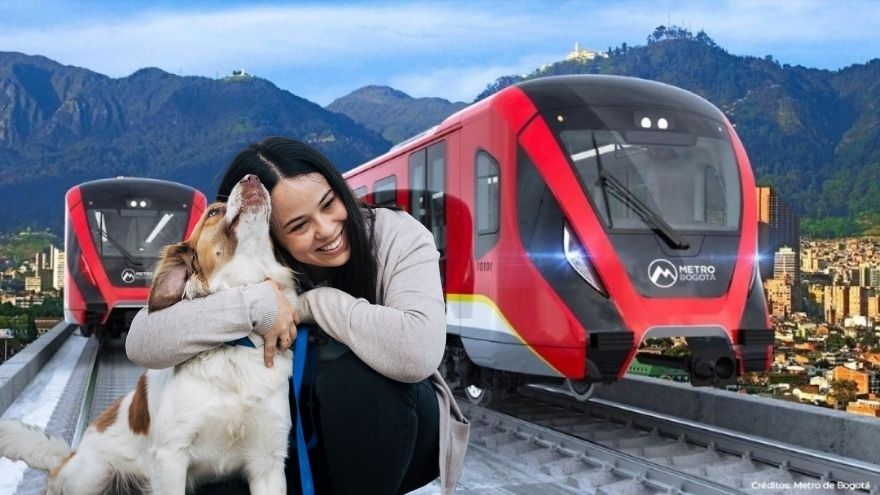 La Empresa Metro confirmó que perros y gatos podrán viajar bajo las normas actuales de TransMilenio.