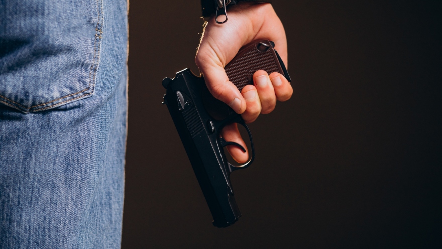 Imagen de referencia de pistola.