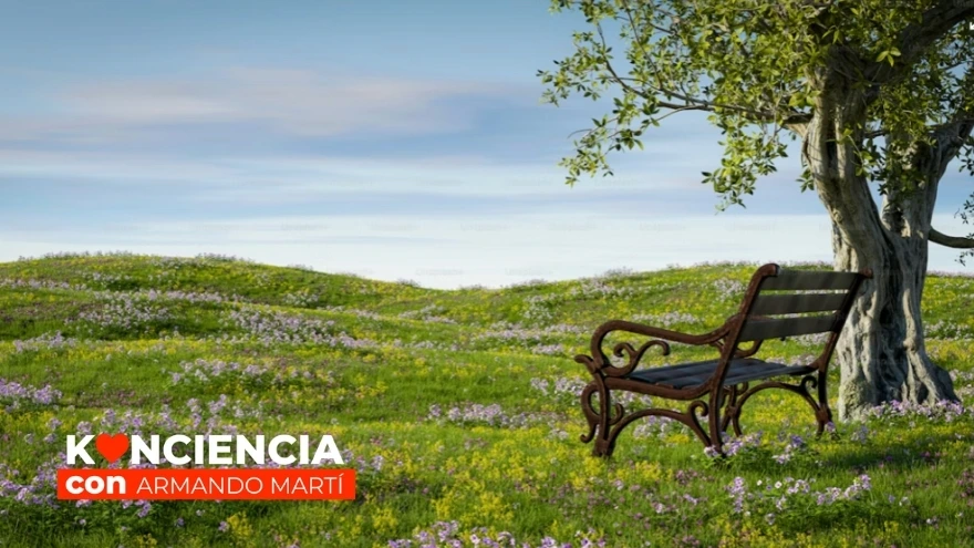 Konciencia