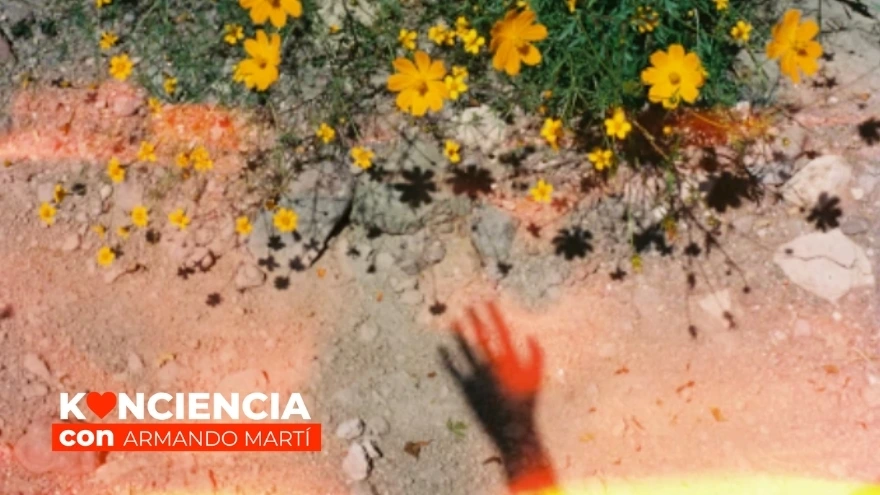 Konciencia