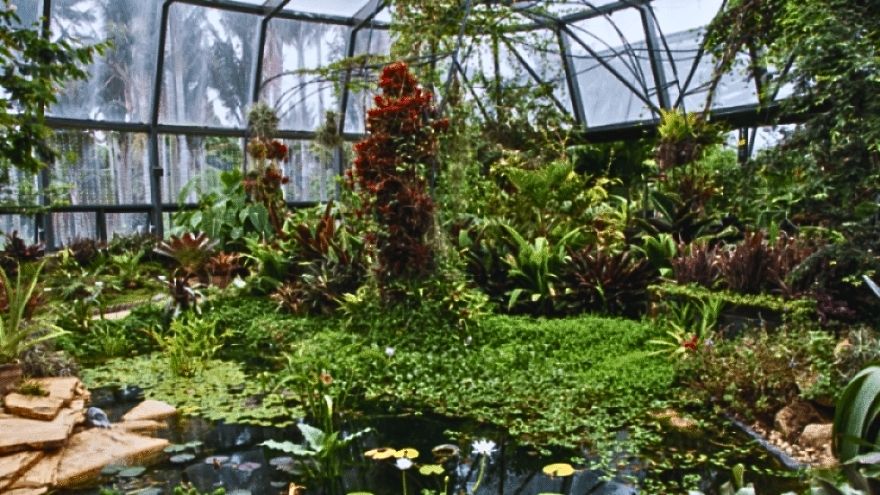 La alianza científica incluye expediciones botánicas y conservación 