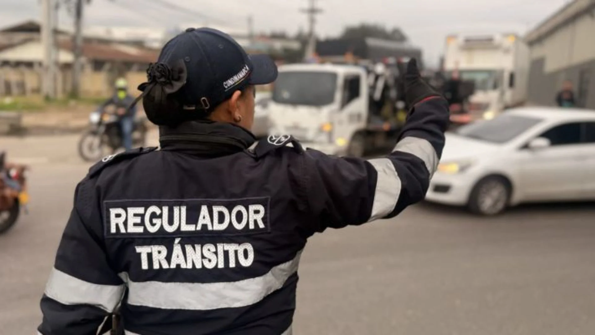 Tránsito