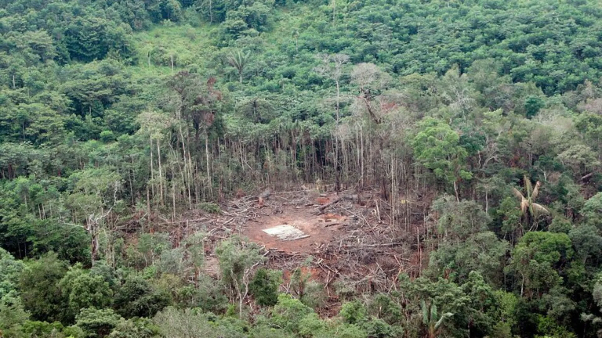 La vez que Colombia bombardeó Ecuador y desató una crisis regional