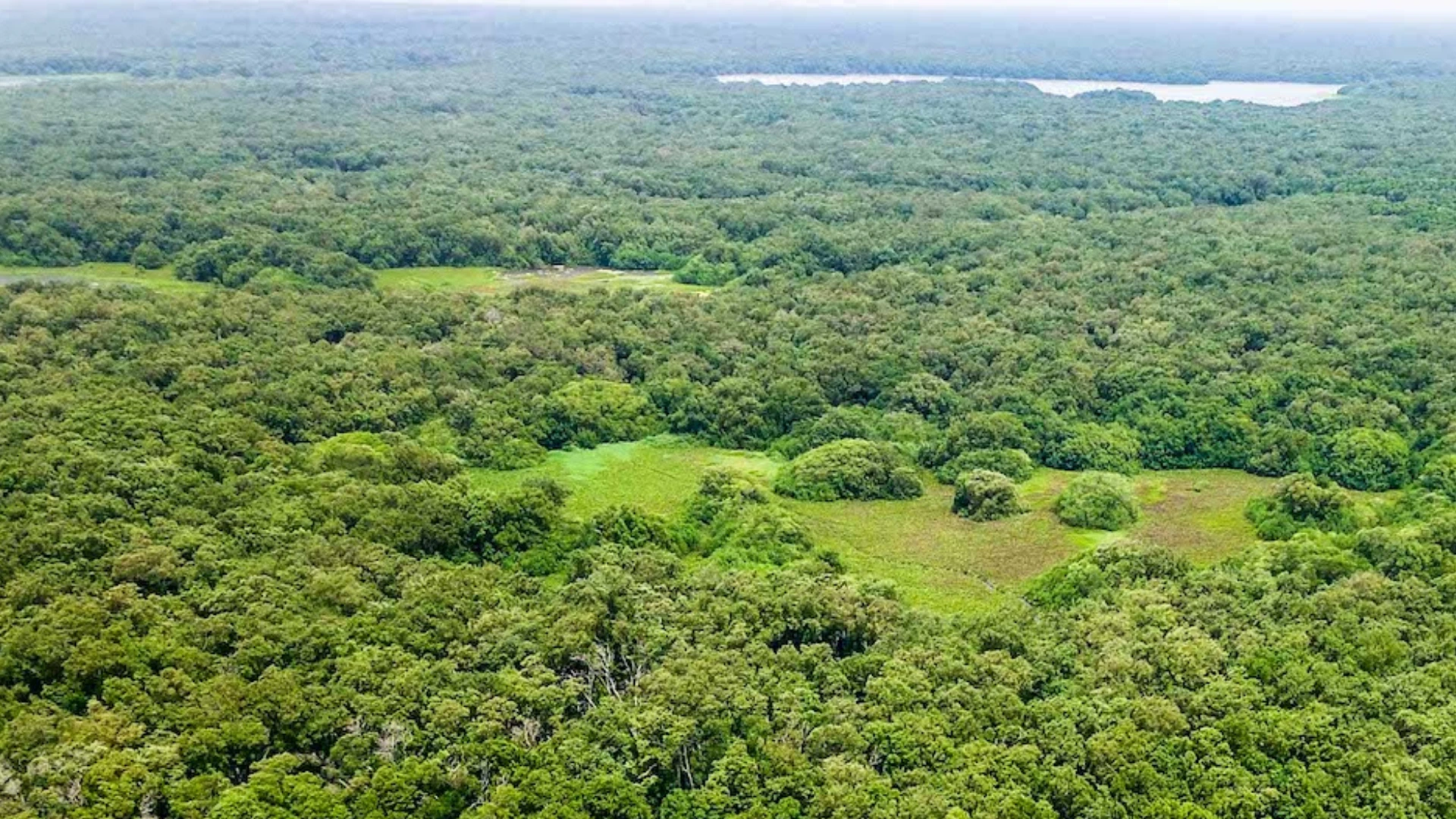 niños-rescatados-selva-caquetá-ejército