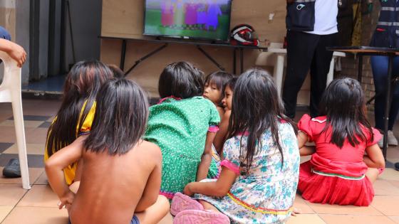 Indigenas Embera Cali noticias desplazados victimas Choco