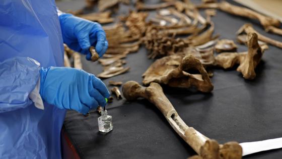 La titánica labor de identificar a más de 100.000 desaparecidos