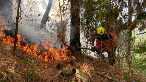 Medellín se prepara para la llegada del fenómeno de El Niño