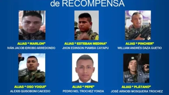 Cauca: con millonaria recompensa Gobierno busca a los responsables de ataque