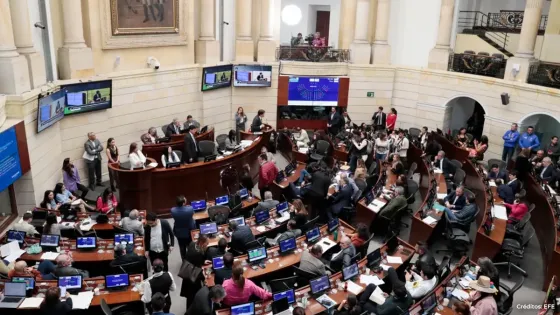 consulta-popular-hundida