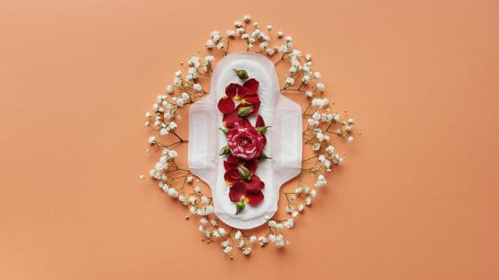 Higiene menstrual