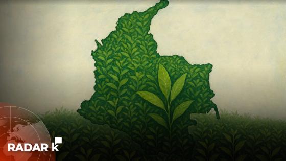 Cocaína-Colombia