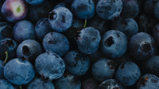 Alimentos hígado