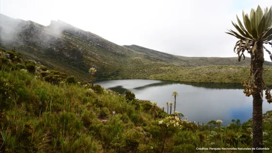 Parques Nacionales Naturales de Colombia