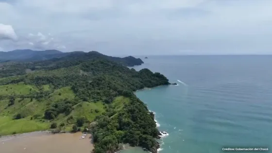 Mar Chocó Alerta